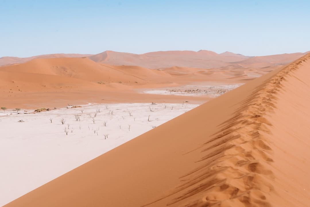地王赌客离场：纪海鹏和他的龙光帝国
